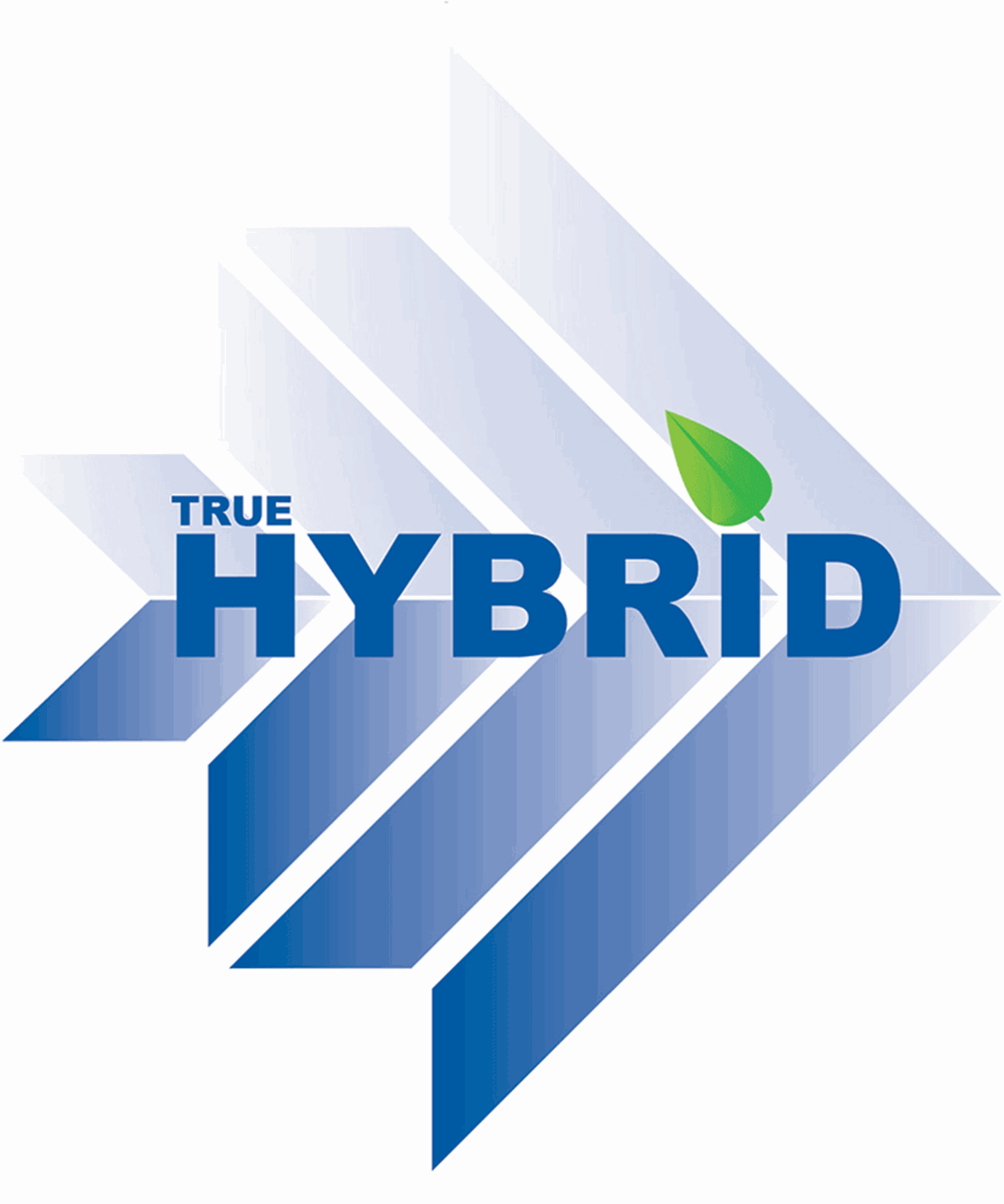 True hybrid OMME LIFT.jpg