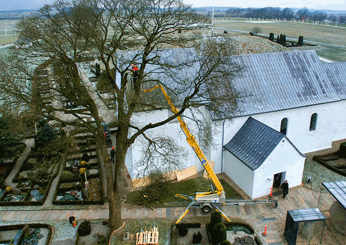 Jelling_træbeskæring.jpg
