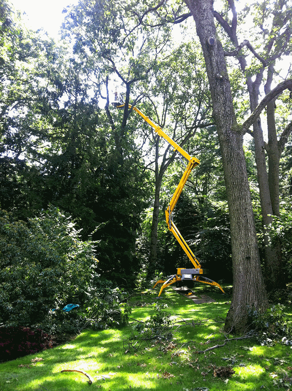 USA Ommelift 2750 RXJ tree 2.jpg